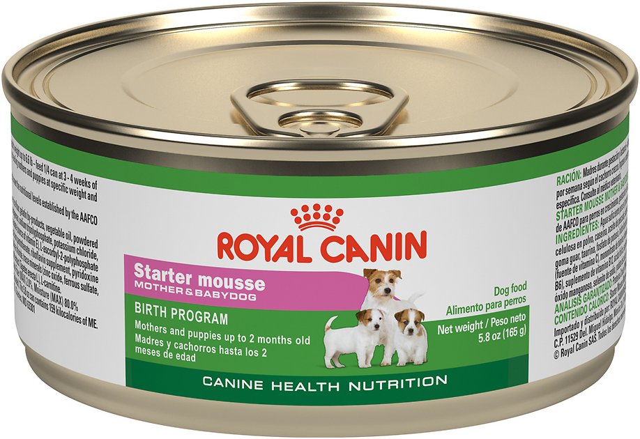 Royal Canin Starter Mousse Mother & Babydog Canned Dog Food