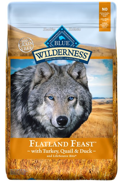 Blue Buffalo Wilderness Flatland Feast Turkey, Quail & Duck Formula Grain-Free Dry Dog Food