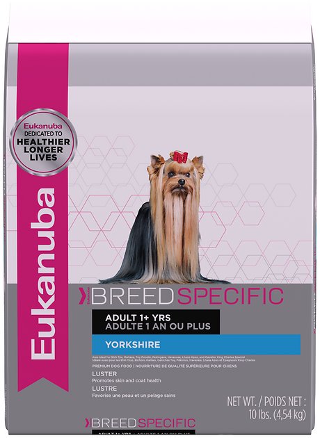 Eukanuba Breed Specific Yorkshire Terrier Adult Dry Dog Food