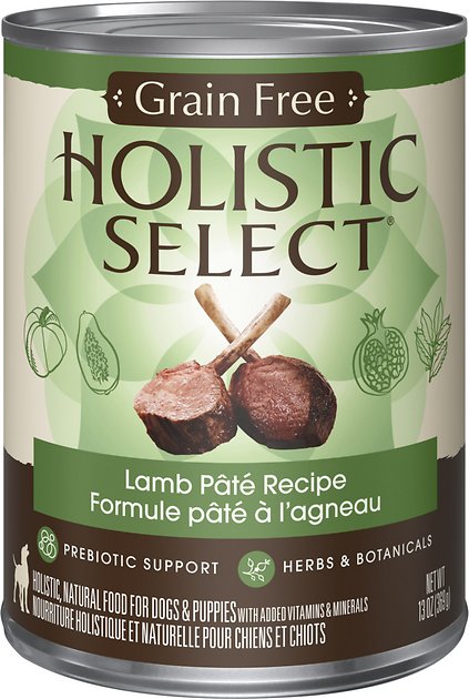 Holistic Select Lamb Pate Recipe Grain-Free Canned Dog Food, 13-oz, case of 12