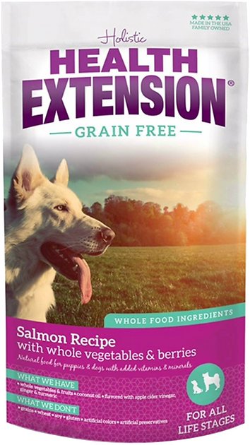 Health Extension Grain-Free Salmon Recipe Dry Dog Food