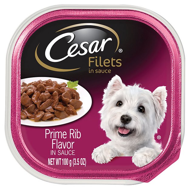 Cesar Gourmet Filets in Sauce Prime Rib Dog Food Trays, 3.5-oz, case of 24