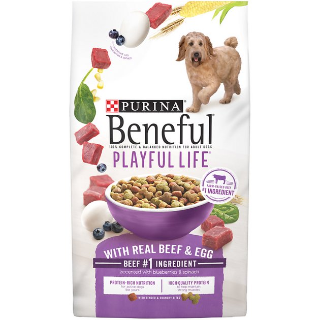 Purina Beneful Playful Life with Real Beef & Egg Dry Dog Food