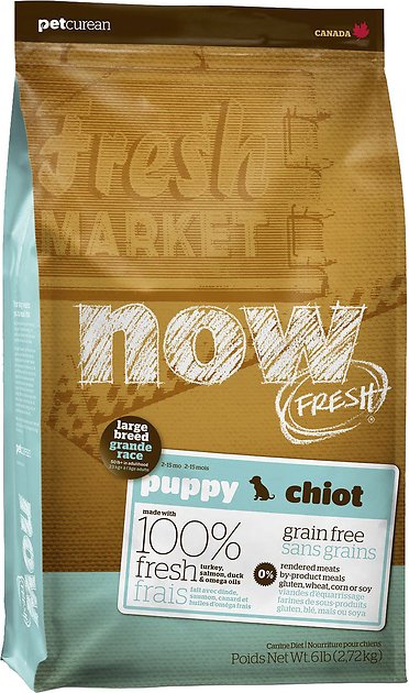 Now Fresh Grain-Free Large Breed Puppy Recipe Dry Dog Food