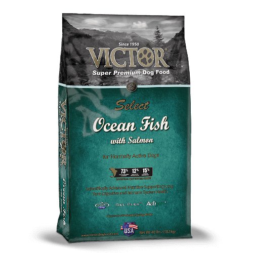 Victor Ocean Fish Formula with Alaskan Salmon Dry Dog Food