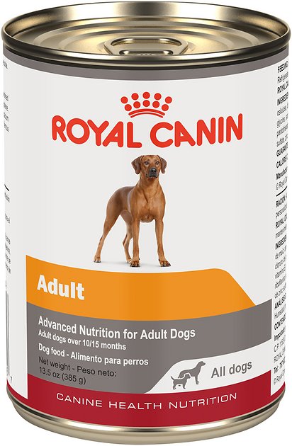 Royal Canin Adult Canned Dog Food, 13.5-oz, case of 12