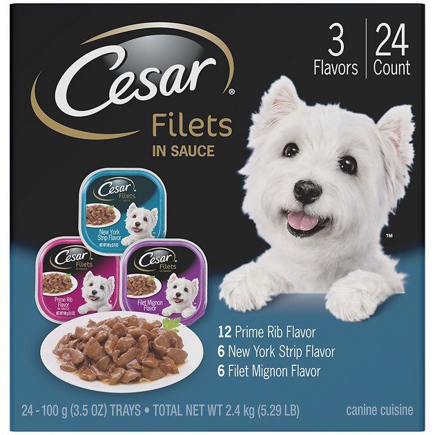 Cesar Gourmet Filets Multi-Pack Dog Food Trays