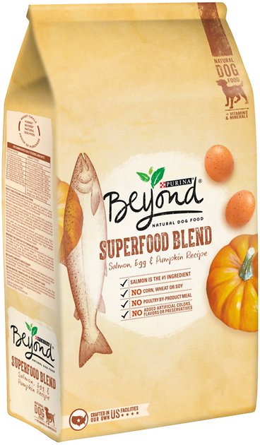 Purina Beyond Superfood Blend Salmon, Egg & Pumpkin Recipe Dry Dog Food