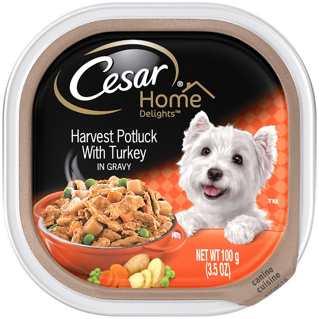 Cesar Home Delights Harvest Potluck with Turkey Dog Food Trays, 3.5-oz, case of 24